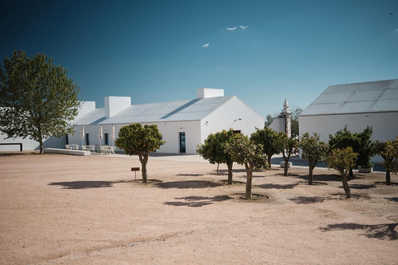 Torre de Palma Wine Hotel - Design Hotels Monforte Eksteriør billede